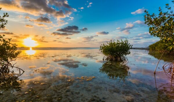 Your Guide to Relaxing and Unwinding in the Florida Keys