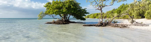 Upper & Middle Keys Beaches
