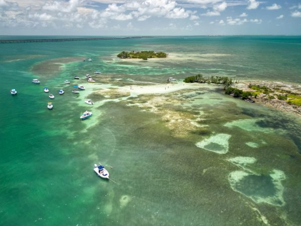 Florida Keys Sandbars: Your Guide to the Perfect Day on the Water